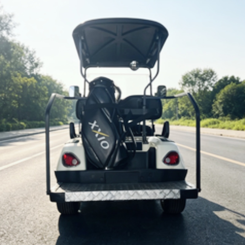 Nowy model 2026, dwuosobowy, e – Golf Bag Stand Cart recenzja i cena
