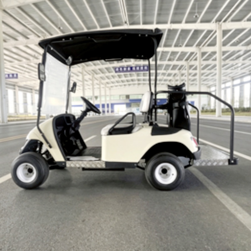 Nowy model 2026, dwuosobowy, e – Golf Bag Stand Cart recenzja i cena
