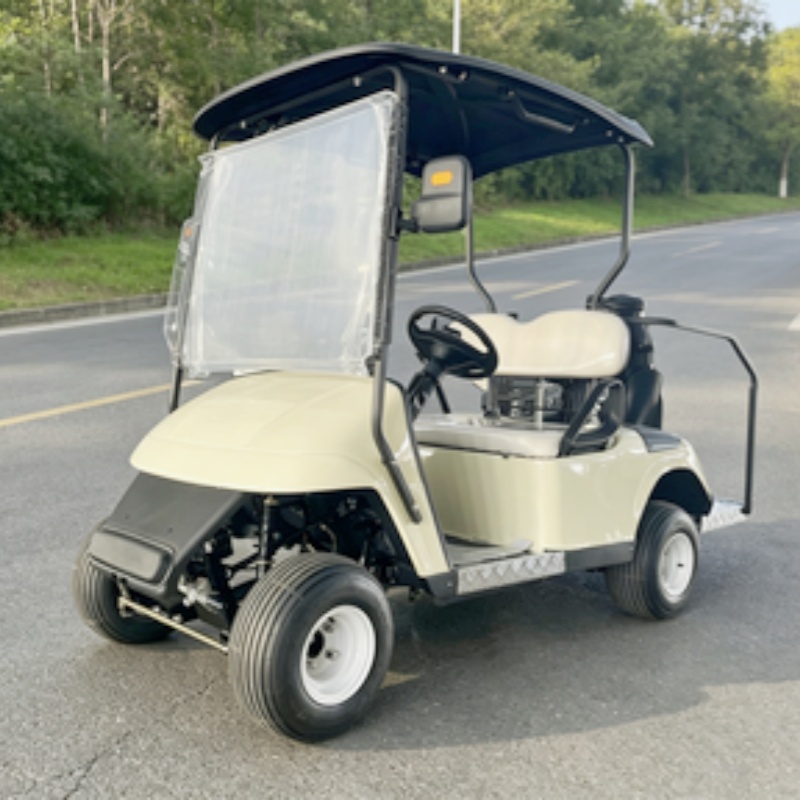 Nowy model 2026, dwuosobowy, e – Golf Bag Stand Cart recenzja i cena