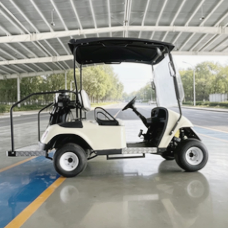 Nowy model 2026, dwuosobowy, e – Golf Bag Stand Cart recenzja i cena