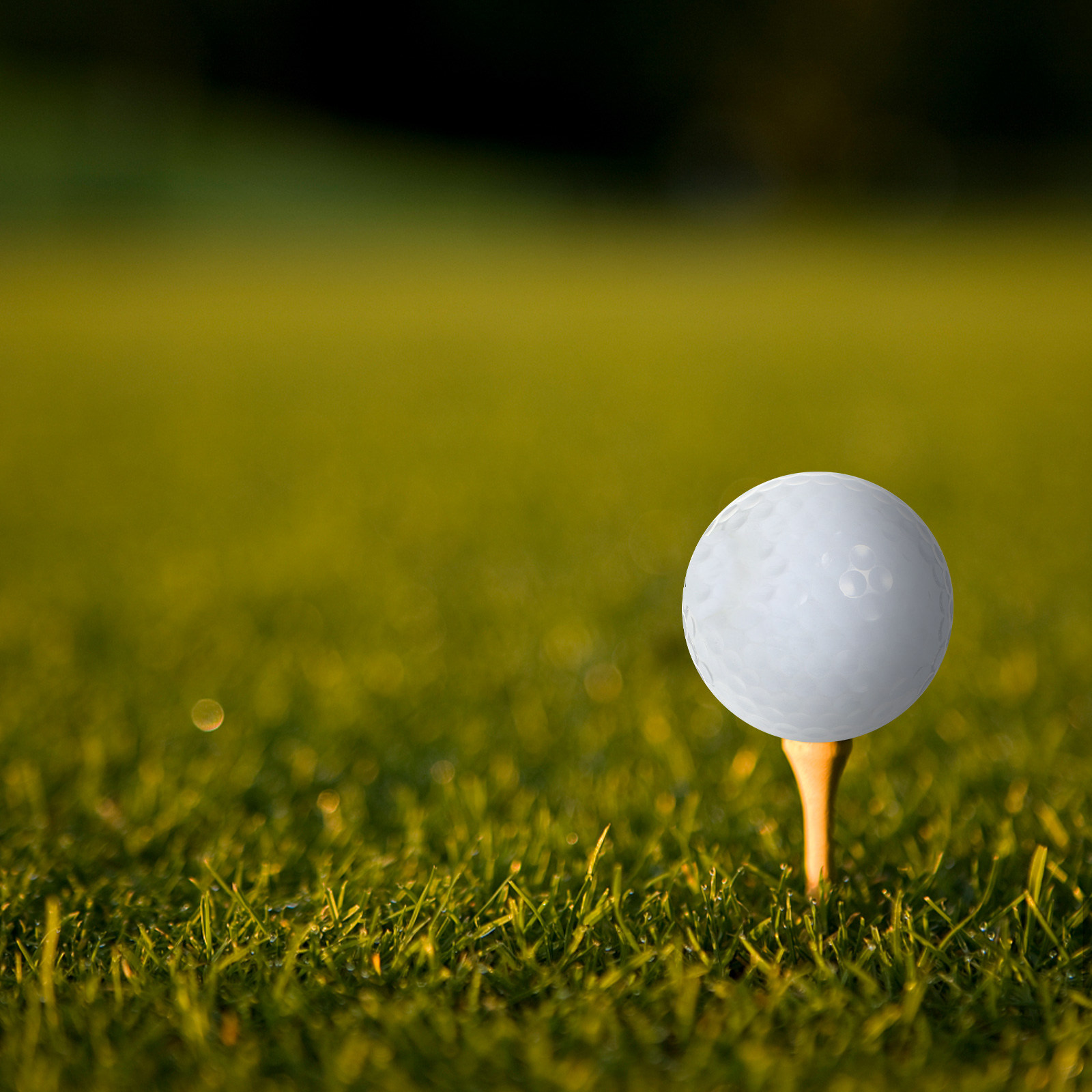Piłki golfowe do ćwiczeń w pom – Golf Equipment Beginners recenzja i cena